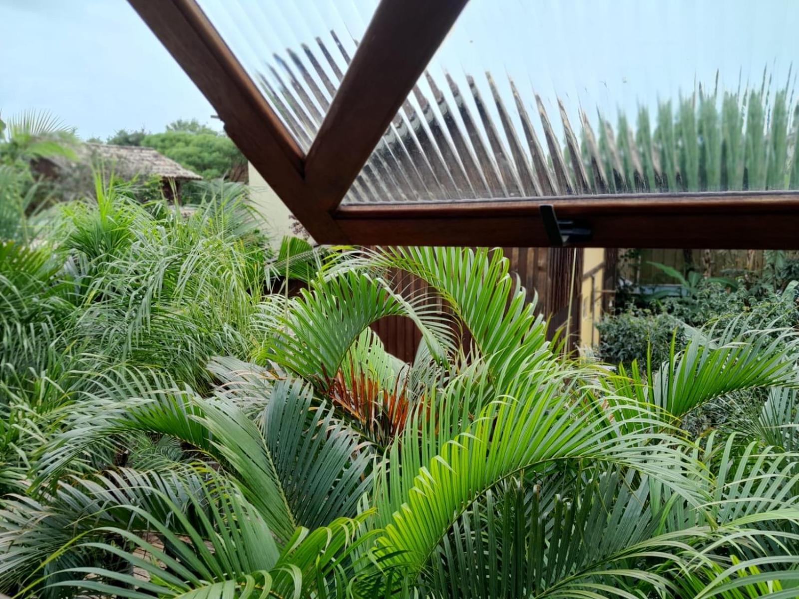 Recanto Das Bromelias Chales Guarda do Embaú Exterior foto